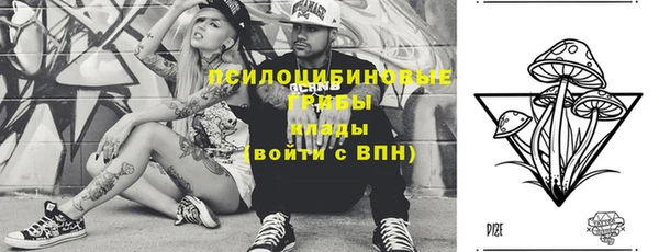 apvp Балабаново